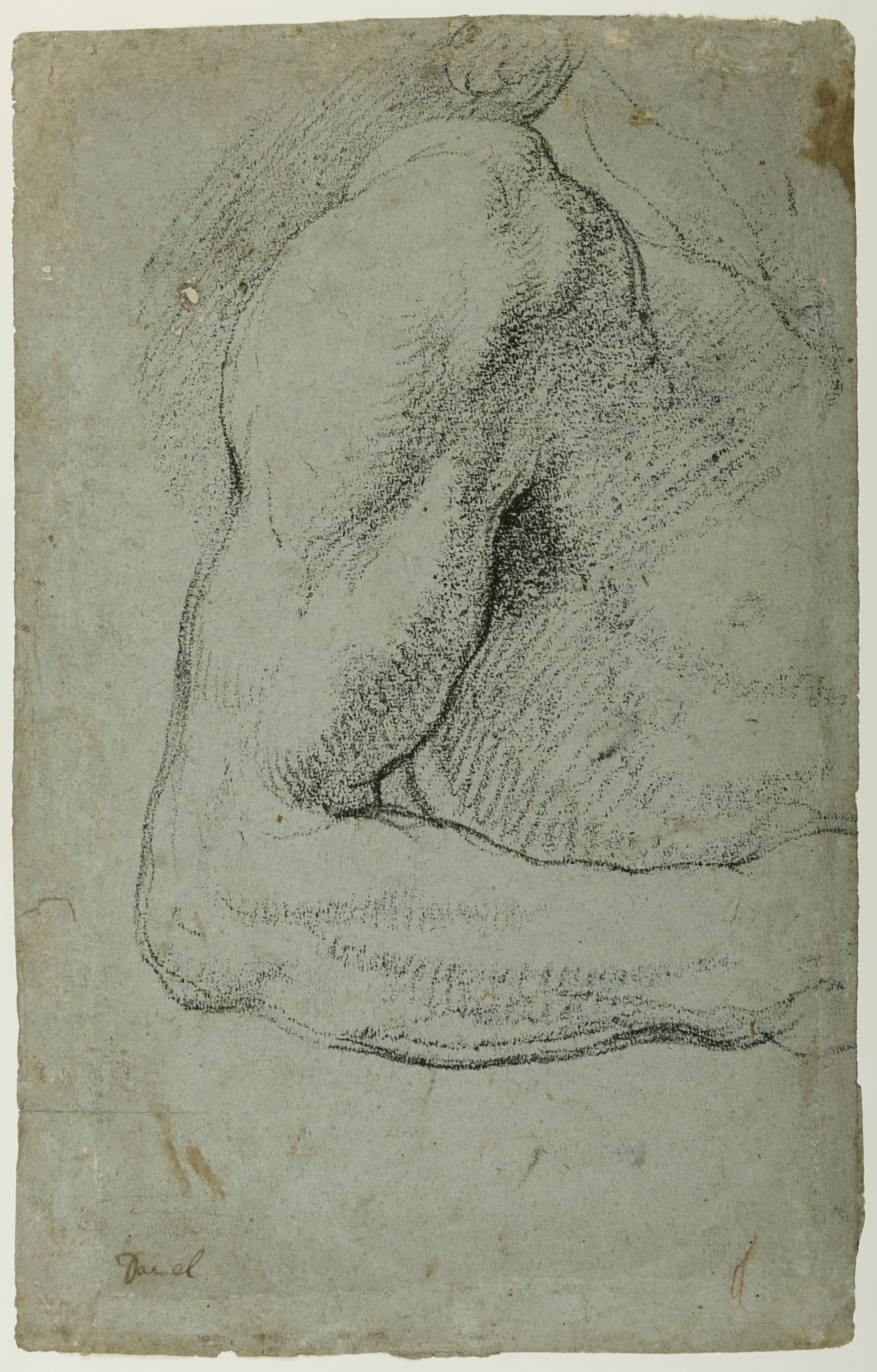 Study of a Right Arm [recto]; Studies of Shoulders and Arms [verso]